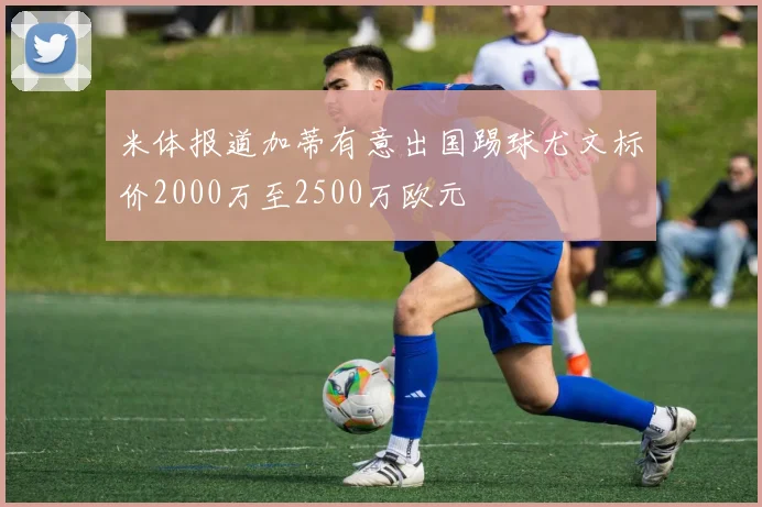 米体报道加蒂有意出国踢球尤文标价2000万至2500万欧元